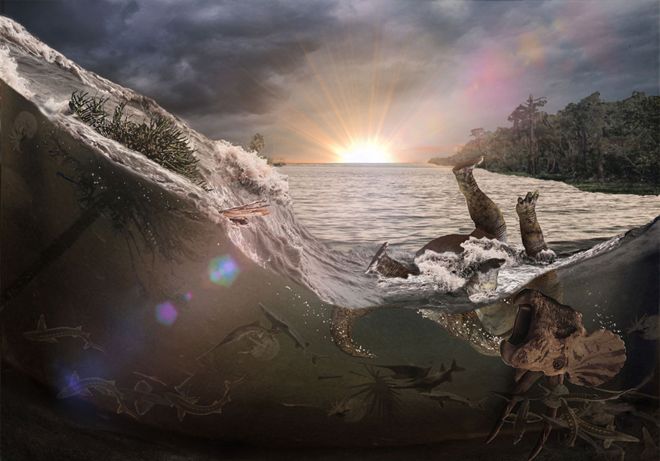 Il cimitero degli animali estinti per l’impatto con l’asteroide Chicxulub