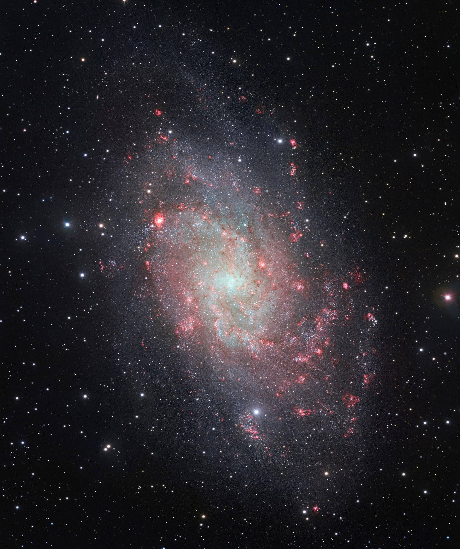 La Galassia del Triangolo (M33)