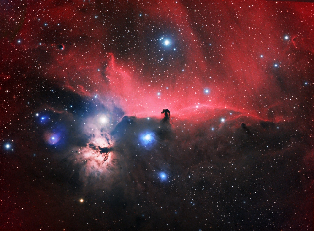 La Nebulosa Testa di Cavallo