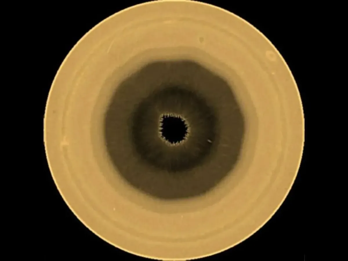 Illustrazione o ripresa spaziale del polo sud di Saturno che mostra la complessa struttura atmosferica a forma di decagono
