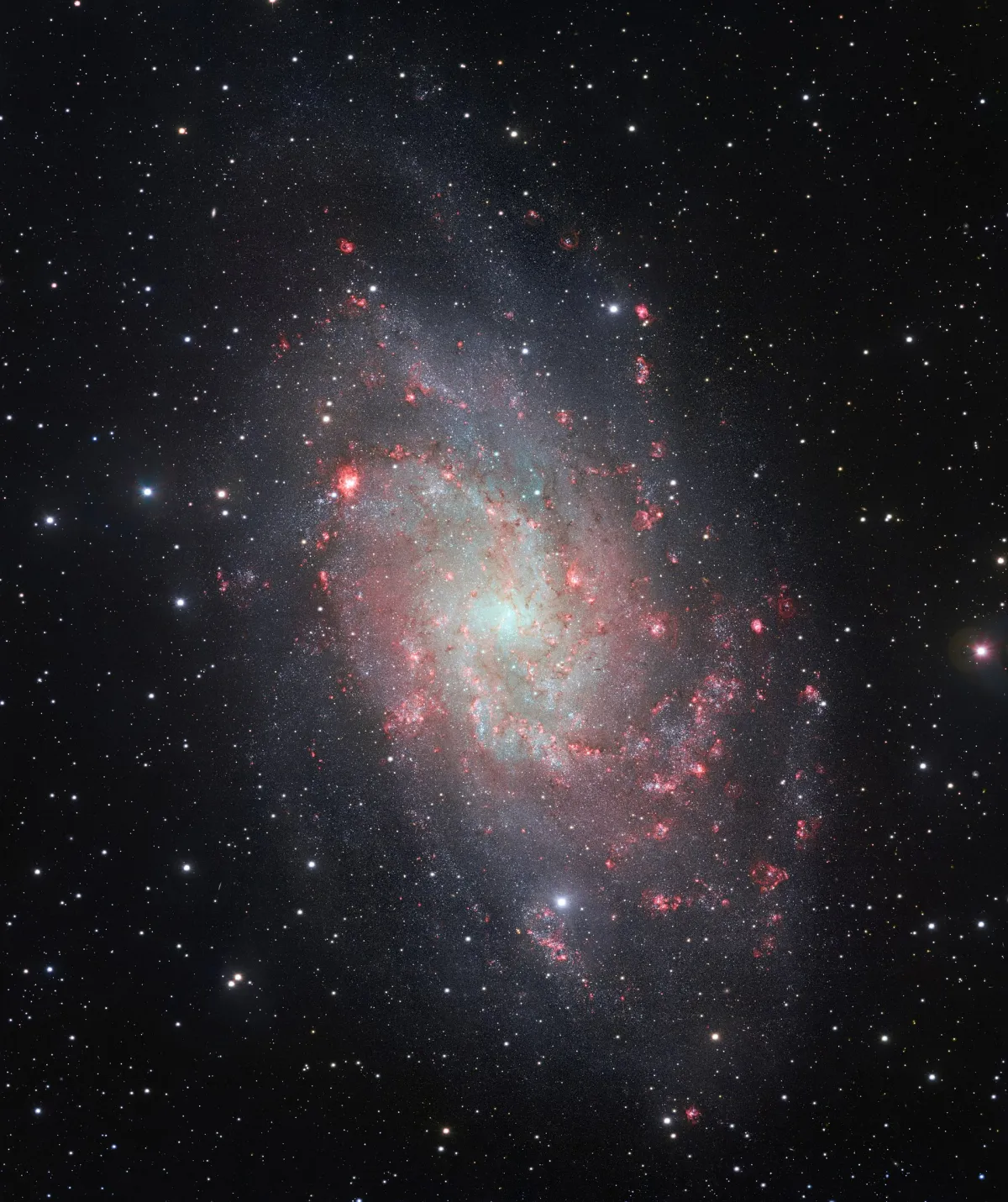 La Galassia del Triangolo (M33)