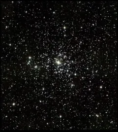 L’ammasso stellare aperto M37