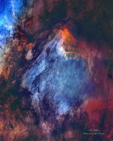 The Pelican Nebula in Gas, Dust, and Stars
