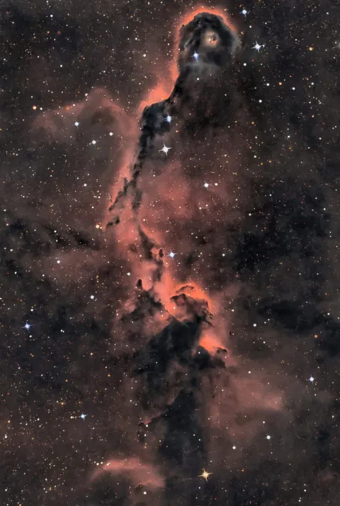 The Elephant's Trunk in Cepheus