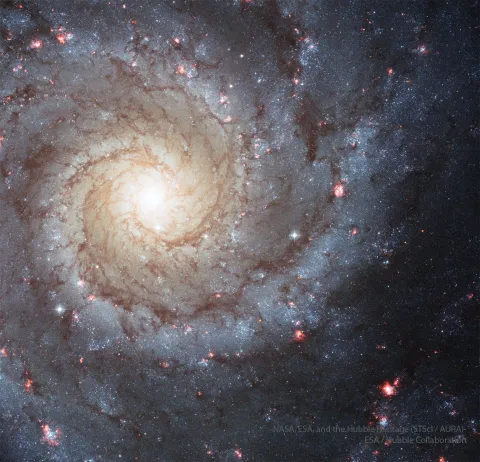 M74: A Grand Design Spiral