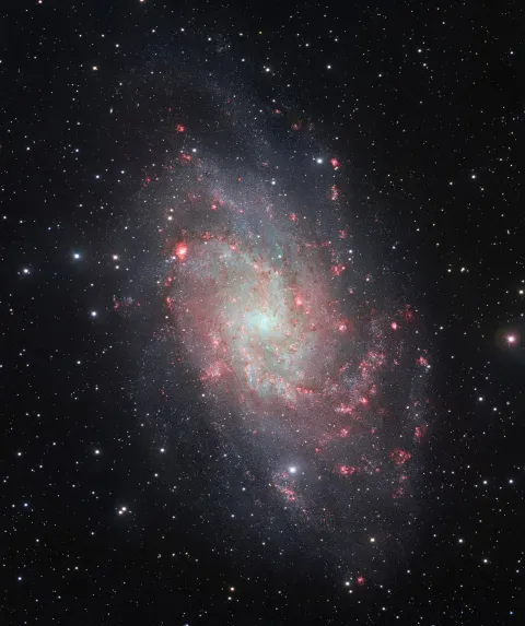La Galassia del Triangolo (M33)