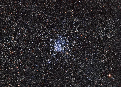 L’Ammasso dell’Anatra selvatica, M11