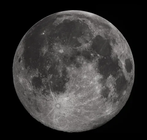 Riso sulla Luna: il sogno dell'agricoltura spaziale si fa più vicino