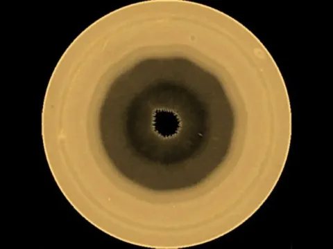 Illustrazione o ripresa spaziale del polo sud di Saturno che mostra la complessa struttura atmosferica a forma di decagono